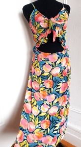 🍑 NWOT Dress Forum Peaches Front Tie Ruffle Maxi
